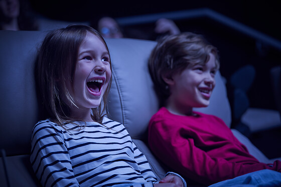 CINESA - photo 1