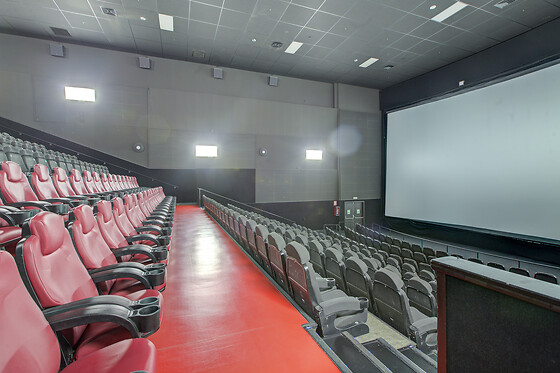 CINESA - photo 11