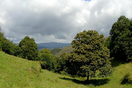 Casa de Fora, Turismo Rural