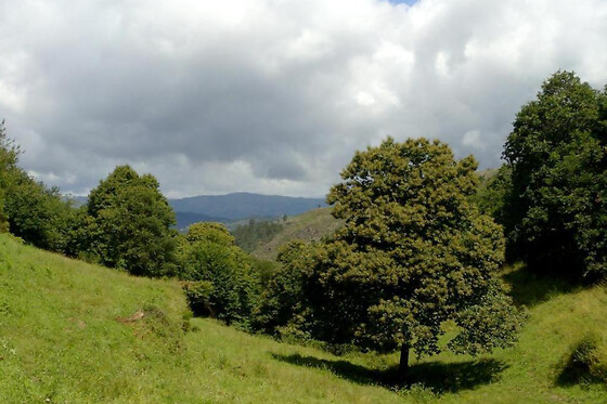 Casa de Fora, Turismo Rural - photo 10