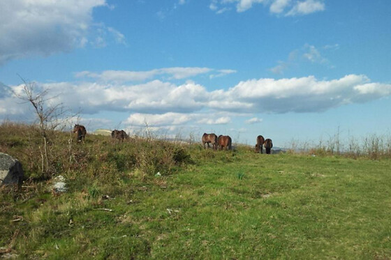 Casa de Fora, Turismo Rural - photo 11