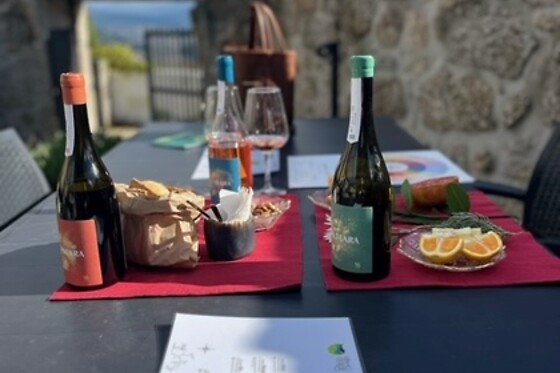 Villa Seara - photo 4