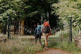 Woodssteps