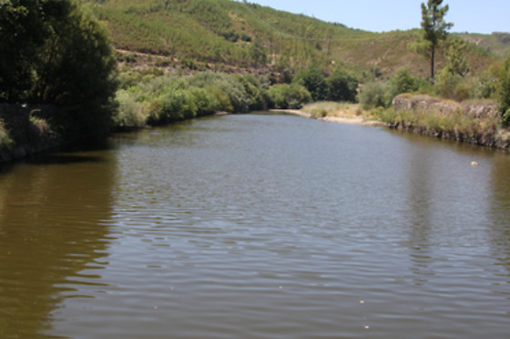 Aldeia Oliveiras - photo 12