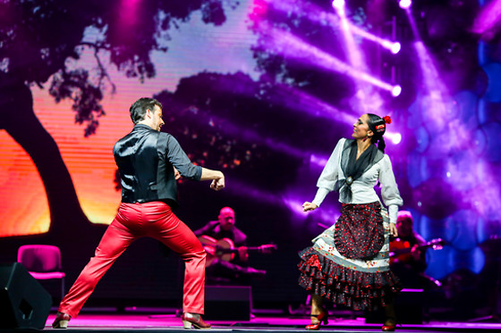 TEATRO FLAMENCO MADRID - photo 6