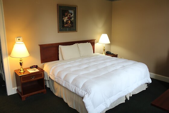Online Booking EPS - photo 1