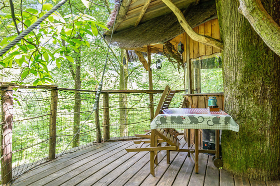 L'Arbre à Cabane - photo 14