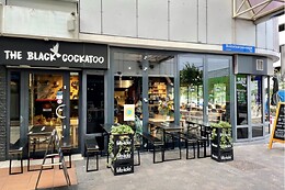 the black cockatoo
