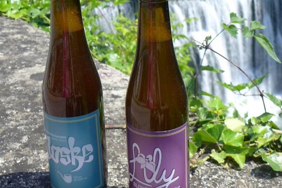 Volders Bieren - photo 5
