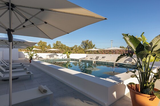 Online Booking EPS - photo 3