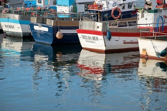 Online Booking EPS - photo 3