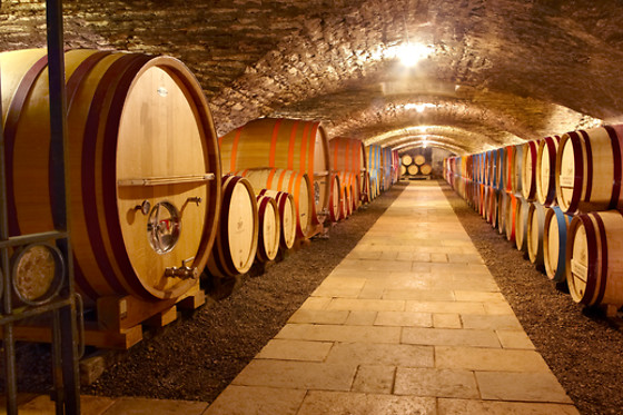 Vignobles et Vins Picard - photo 0