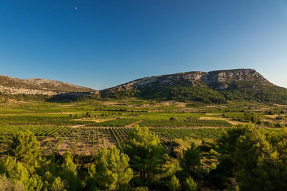 Domaine Vents du Sud - photo 17