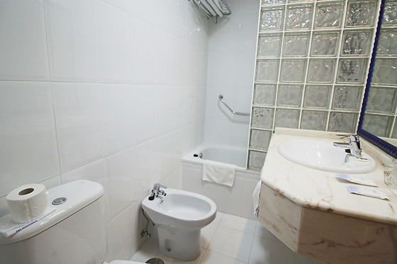 HOTEL SANTILLANA - photo 8