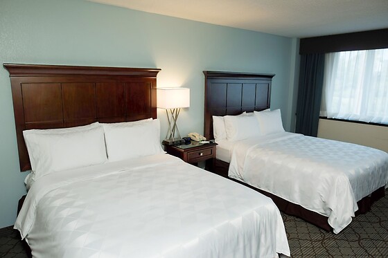 Online Booking EPS - photo 3