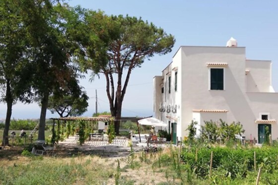 Villa Mazza al Vesuvio - photo 3