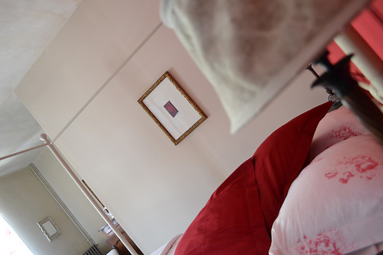 Le Petit Chou - photo 8