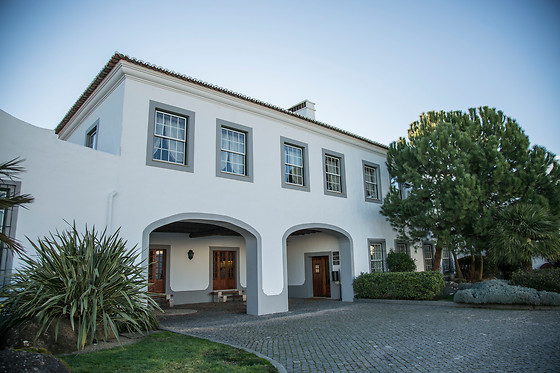João Portugal Ramos Vinhos - photo 1