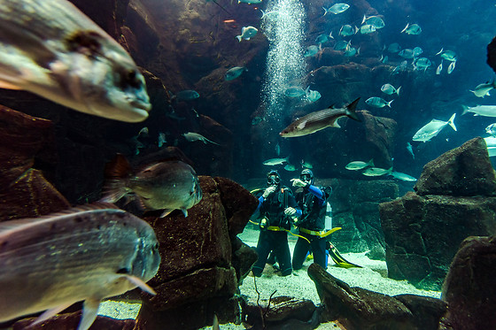 MADEIRA NATURE EXPERIENCE - photo 10