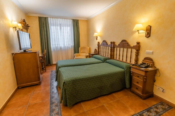 HOTEL SANTO DOMINGO DE SILOS - photo 17