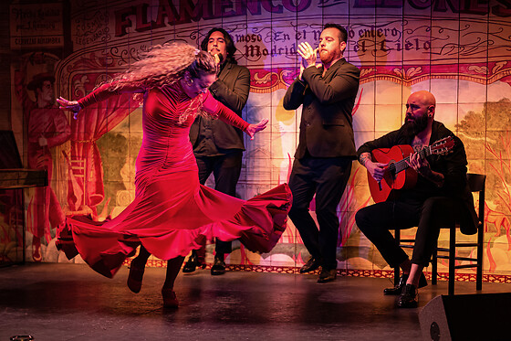FLAMENCO DE LEONES - photo 2