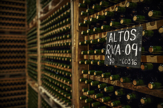BODEGAS CORRAL - photo 3