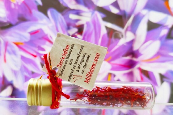 TERR' A SAFRAN - photo 3