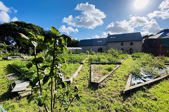 Le jardin zen du Quistillic - photo 3