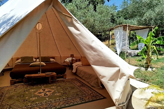 Golden Camp - photo 1