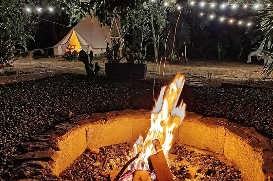 Golden Camp - photo 8