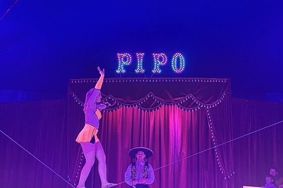 Circus Pipo by Heppenheimer - photo 1