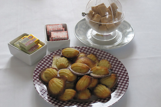 La Crique - photo 5