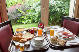 Hôtel et Restaurant Aster
