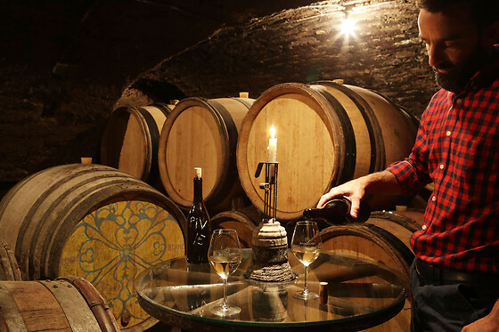 Domaine Borgnat - photo 3