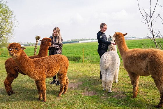 Boerderijterras Wilgenhart - photo 3