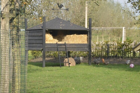 De Bongerd, The Orchard - photo 7