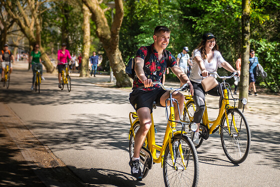 Yellow Bike - photo 2