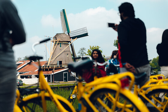 Yellow Bike - photo 3