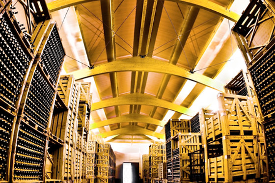 BODEGAS LOS PINOS - photo 3