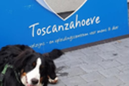 Toscanzahoeve