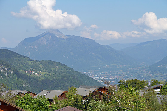 La Croix de Savoie & Spa - photo 13