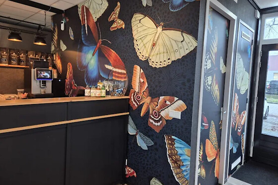 Het Steigerhuys - photo 2