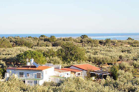 ECOTURISMO VILLAFELICHE - photo 12
