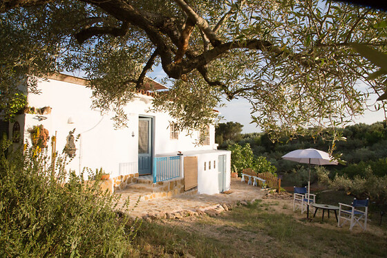 ECOTURISMO VILLAFELICHE - photo 14
