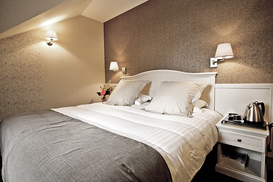 Best Western Le Duguesclin - photo 12