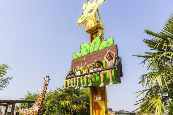Jungle City - photo 4