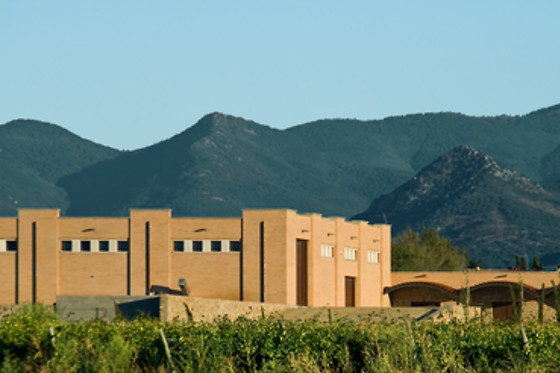 BODEGA MAS LLUNES - photo 3