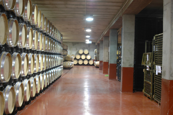 BODEGA DEL ABAD - photo 1