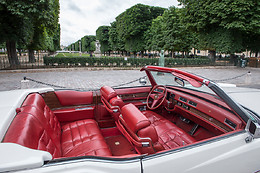 Cady Cruise