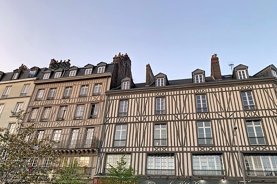 Appart'Hôtel Flaubert - Rouen - photo 12
